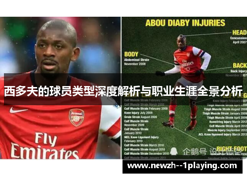 西多夫的球员类型深度解析与职业生涯全景分析