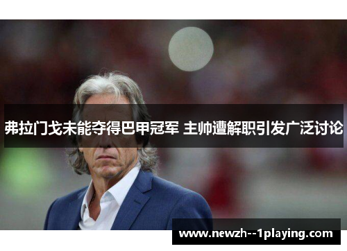 弗拉门戈未能夺得巴甲冠军 主帅遭解职引发广泛讨论