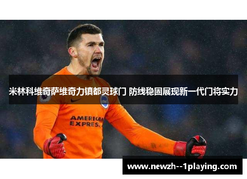米林科维奇萨维奇力镇都灵球门 防线稳固展现新一代门将实力